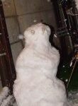 雪だるま snow man atアーサー外語学院鷺ノ宮校