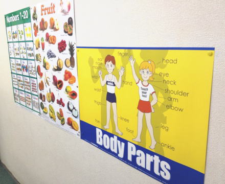 body parts in English